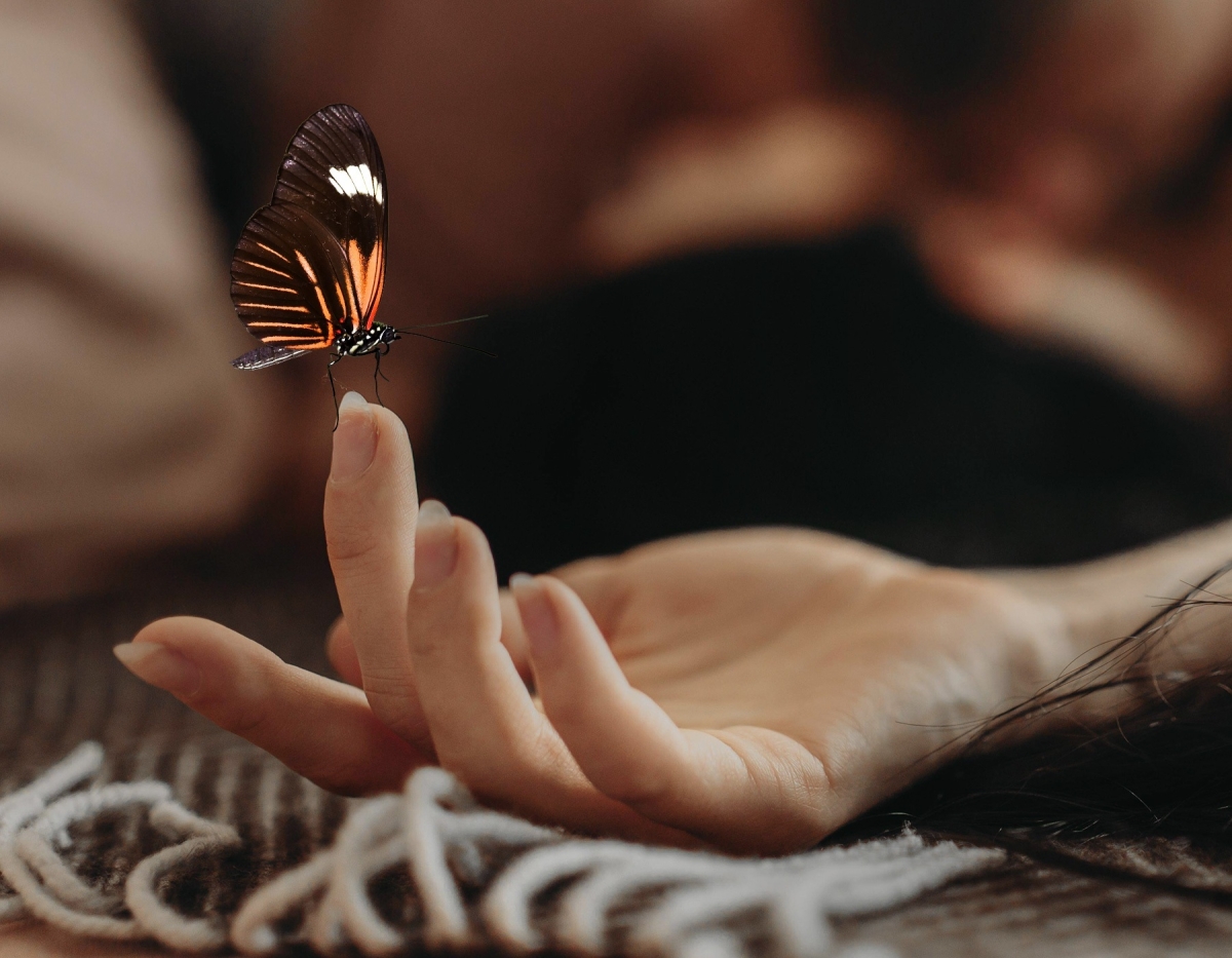 Butterfly Massage